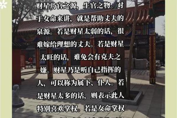 女命正财无根：探寻命理中的财运之秘