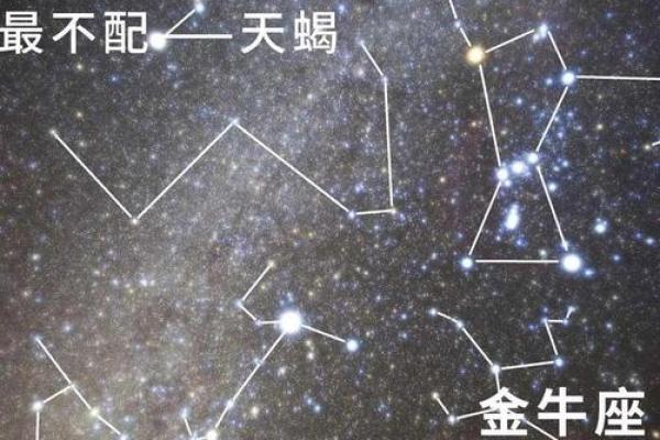 哪些星座男生注定劳碌一生?揭秘他们的命运之路! 哪些星座男生注定劳碌一生?揭秘他们的命运之路!