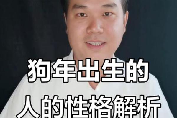 属狗之人,19日出生,命运解析与人生指引 属狗之人,19日出生,命运解析与人生指引