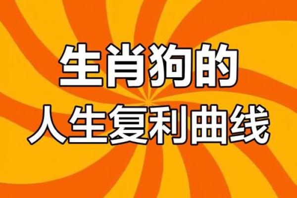 属狗人士在七十几岁时的命运与人生智慧探索 属狗人士在七十几岁时的命运与人生智慧探索