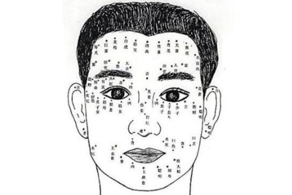 女命坐下财的意义与解析:揭示财富与命运的关系 女命坐下财的意义与解析:揭示财富与命运的关系