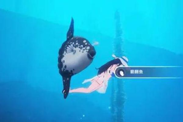 神秘海洋生物:拥有两条命的奇妙生物生活探秘 神秘海洋生物:拥有两条命的奇妙生物生活探秘