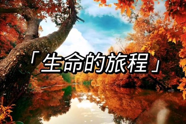 属猴五月出生男孩命运解析：聪明、机敏与挑战共存的生命旅程