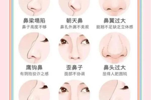 不同鼻型女性的克夫命解析,揭示命运的秘密! 不同鼻型女性的克夫命解析,揭示命运的秘密!