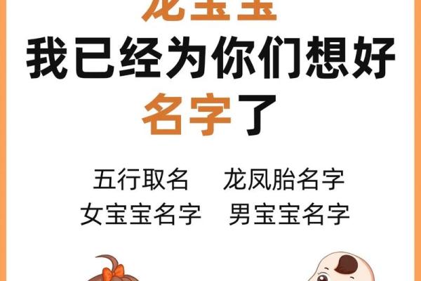 生肖与龙凤命：如何找到命运的最佳搭档？