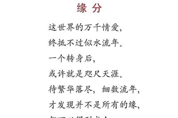 你就是我的命——缘分的绝妙表达与生活的哲理