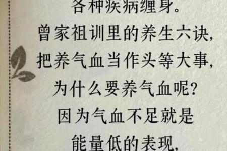 身体虚弱的命里大修行：从内到外的滋养与成长