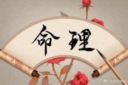 山头火命与风火命的比较与探讨：命理中的火元素之美