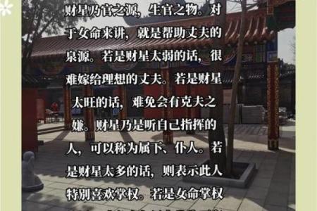 女命正财无根：探寻命理中的财运之秘