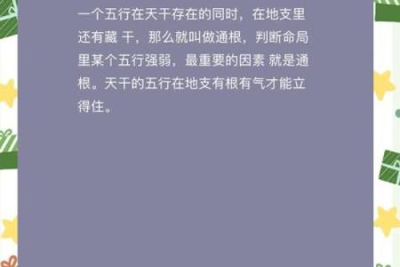 男孩子命运的秘密：破解命理之谜，成就人生辉煌！