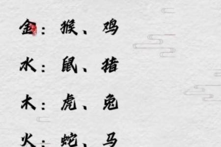 根据生肖分析，哪些宝宝命理最好？揭开五行奥秘！