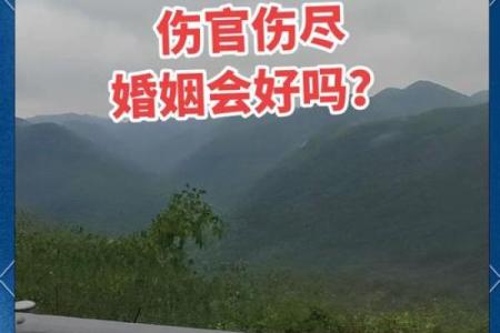 伤官女命最佳配偶解析：为爱而生的美好缘分