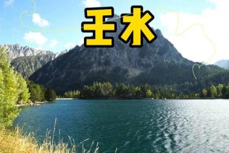 如何选择最佳命理组合：木命与水命的宝宝命运探索