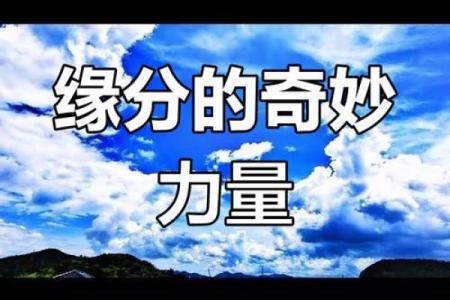 命运的缘分：探寻生命中无形的力量与决定