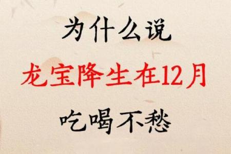 属龙者九月生，命运独特的秘密解析