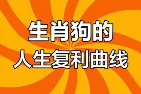 属狗人士在七十几岁时的命运与人生智慧探索