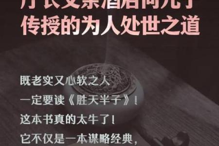 破败之命与淳厚之命：命运的两种面貌与启示