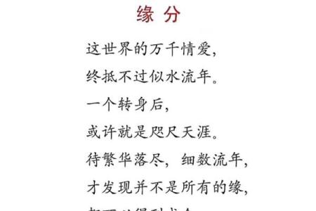 你就是我的命——缘分的绝妙表达与生活的哲理