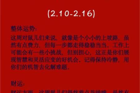 生肖鼠37岁后的命运与人生转折解析