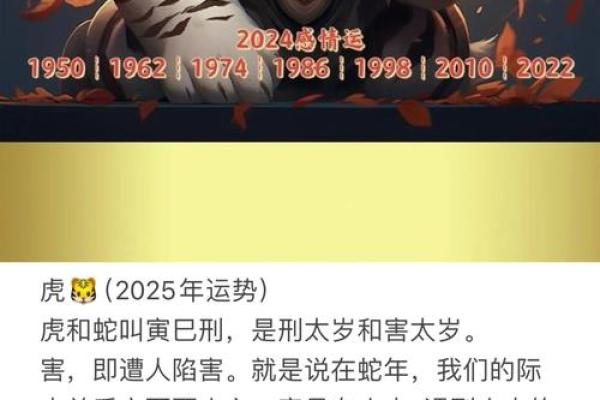 属虎一月出生女孩的命运与性格解析:如何走向人生巅峰? 属虎一月出生女孩的命运与性格解析:如何走向人生巅峰?