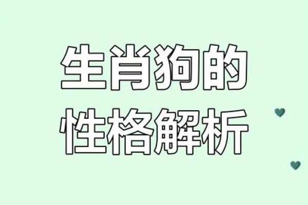 属狗1963年出生的命理解析与人生运势探讨