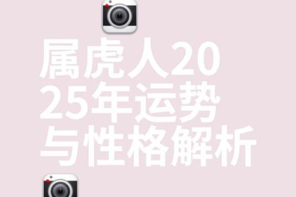 属虎44岁男性命运解析：勇敢与智慧的交织之路