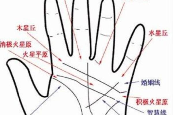 男人手掌纹路解析：揭示你的命运与性格特征