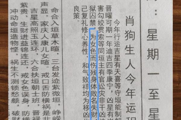 属狗的十月份出生者命理解析:如何发掘潜在优势与人生方向 属狗的十月份出生者命理解析:如何发掘潜在优势与人生方向
