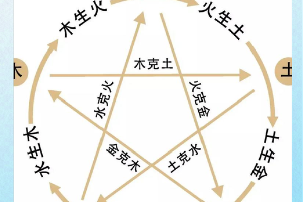 属狗人的五行命理揭秘:金木水火土与性格运势的关系 属狗人的五行命理揭秘:金木水火土与性格运势的关系