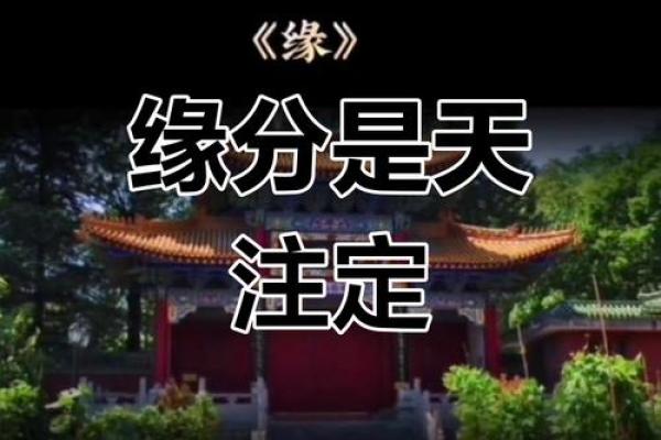 命里桃花，缘来注定：你也能拥有爱情的甜蜜人生