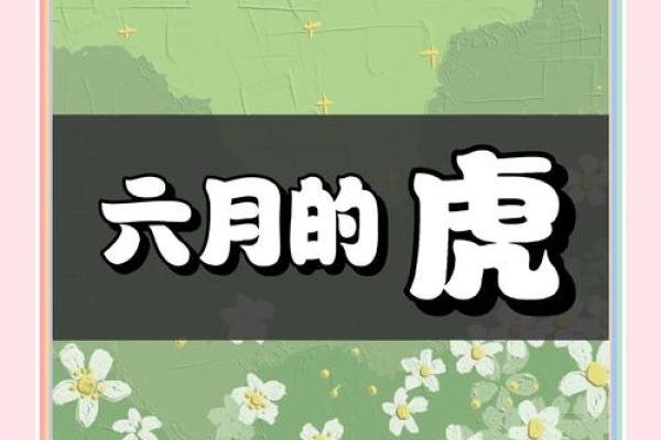2023年农历三月二十六，生肖虎命运解析与人生启示