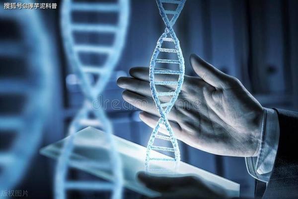 七杀格男命的职业发展与未来潜力分析