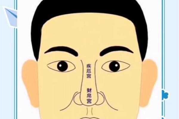 女生的命运与鼻子的秘密:你绝对想不到的关联! 女生的命运与鼻子的秘密:你绝对想不到的关联!