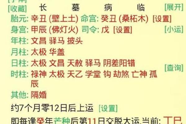 男命中食神的意义与解读：探秘数字背后的智慧