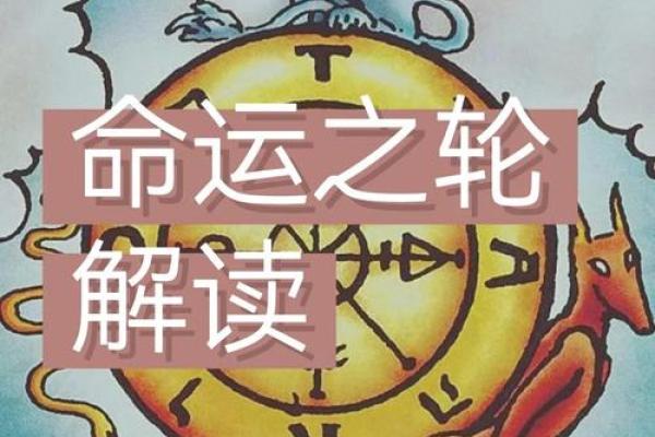 命运之轮：人生的安排与选择的力量