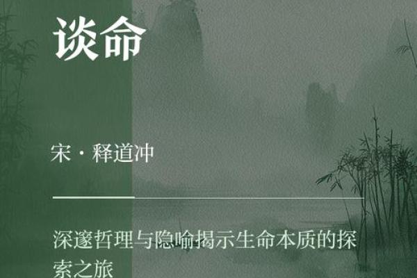 命的意义：探索生命的深度与价值
