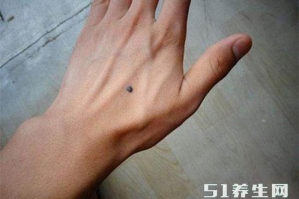 男人的手臂粗长与命运的关系探讨