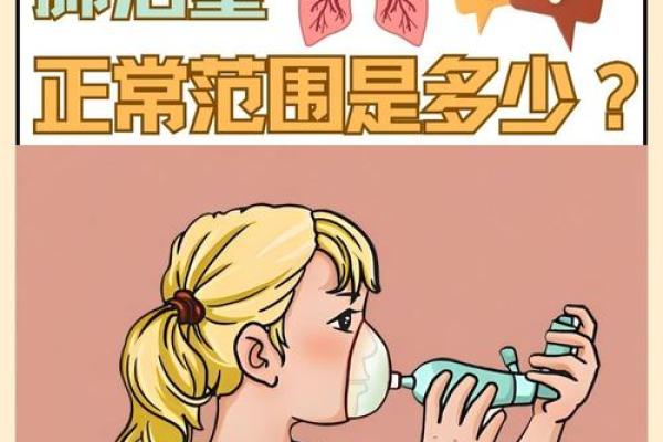 揭示身体的第一生命线:呼吸的重要性与保护方法 揭示身体的第一生命线:呼吸的重要性与保护方法