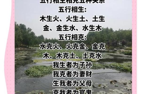 木命与火命的完美搭配：相生相克中的和谐之道