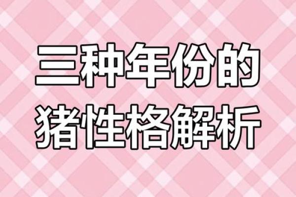 1971年属猪人的命运解析：人生旅途中那些值得珍藏的秘密