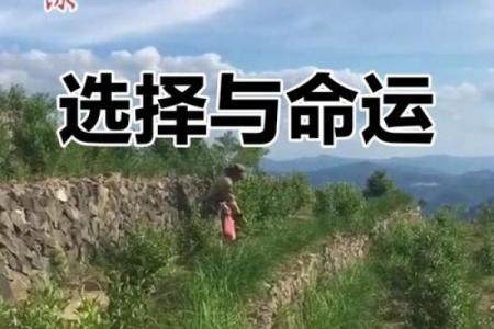 三命之道：解读命运与选择的奥秘，探寻人生真谛