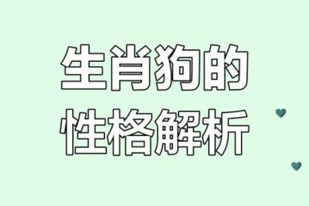 属狗1963年出生的命理解析与人生运势探讨