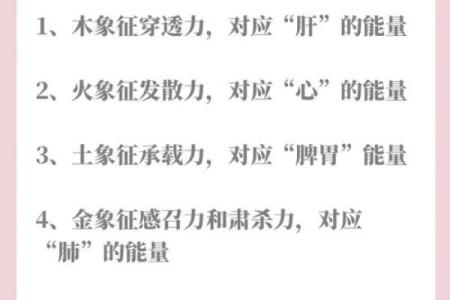 揭秘十九岁猴年的五行命运及其人生启示