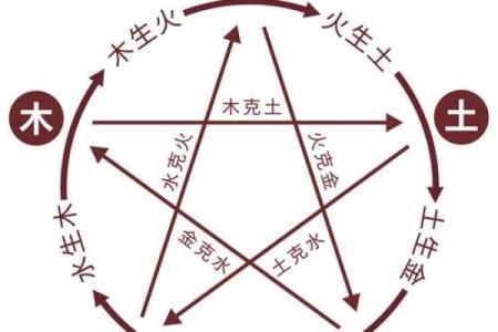 属狗人的五行命理揭秘：金木水火土与性格运势的关系