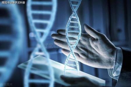 七杀格男命的职业发展与未来潜力分析