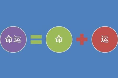 揭开石榴木命的命运密码：如何把握人生分运之道