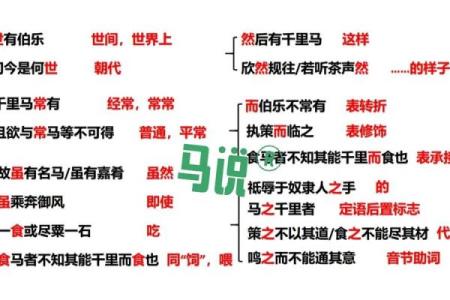 《托孤寄命：谈一谈人类与动物间的情感纽带》