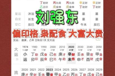 男命中食神的意义与解读：探秘数字背后的智慧