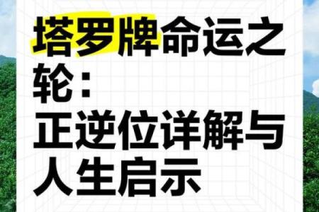 命运之轮：人生的安排与选择的力量