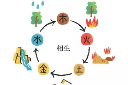 平地木命与相生相克：寻找最佳命理搭配的道路